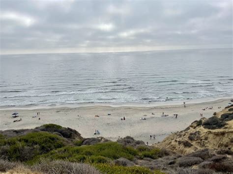 blacks beach nude|Naked & Alive: Stepping Out Of My Comfort Zone At Black’s Beach